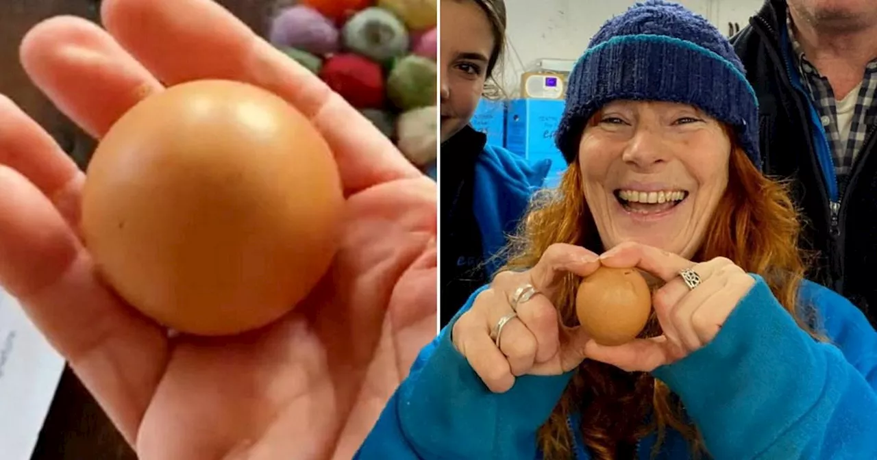 Farm Worker Finds One-in-a-Billion Chance Spherical Egg