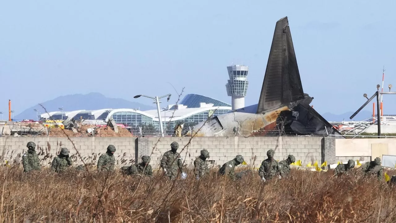 Flugzeugabsturz in Südkorea: Experten finden wichtigen Hinweis