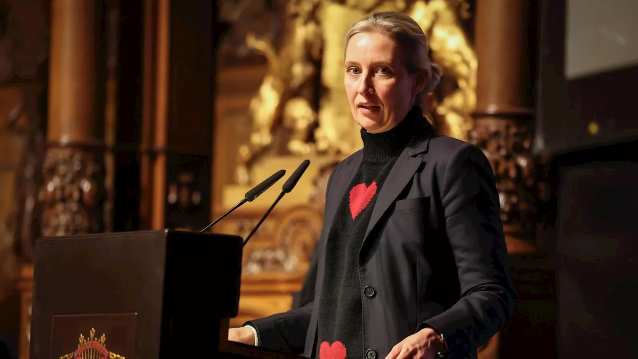 Weidel zieht in Hamburg kruden Nazi-Vergleich zu Demonstranten