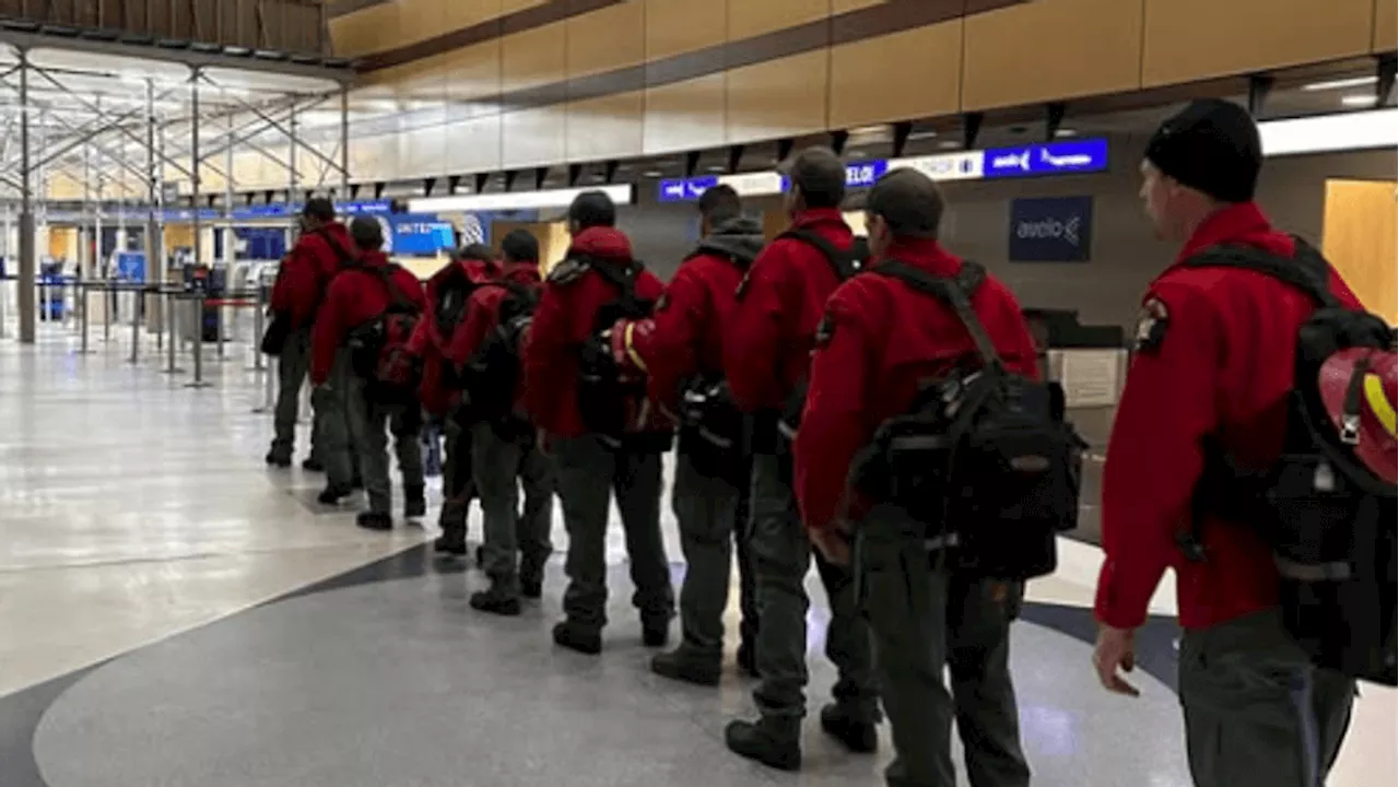 New York Forest Rangers Deploy to California to Combat Wildfires