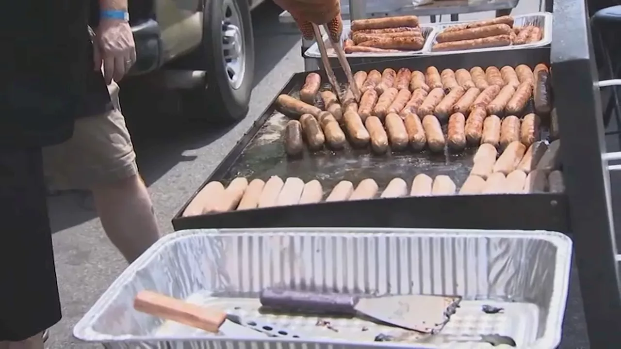 Diet and Dementia: Red Meat Risk, Healthy Alternatives