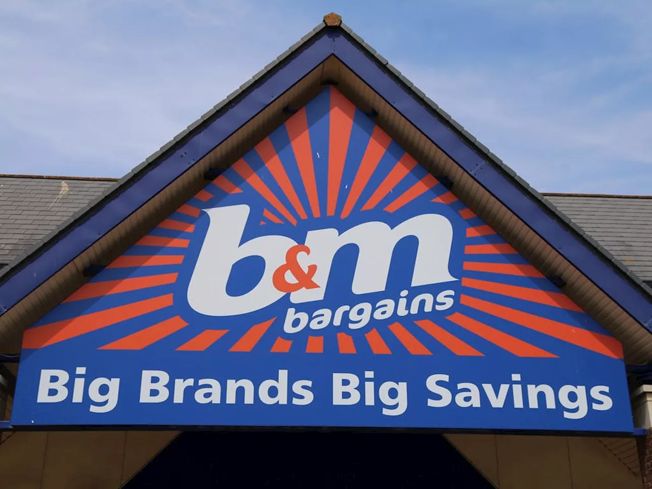 B&M Shoppers Go Wild for 'Pretty Cool' and 'Need' Bird Feeders