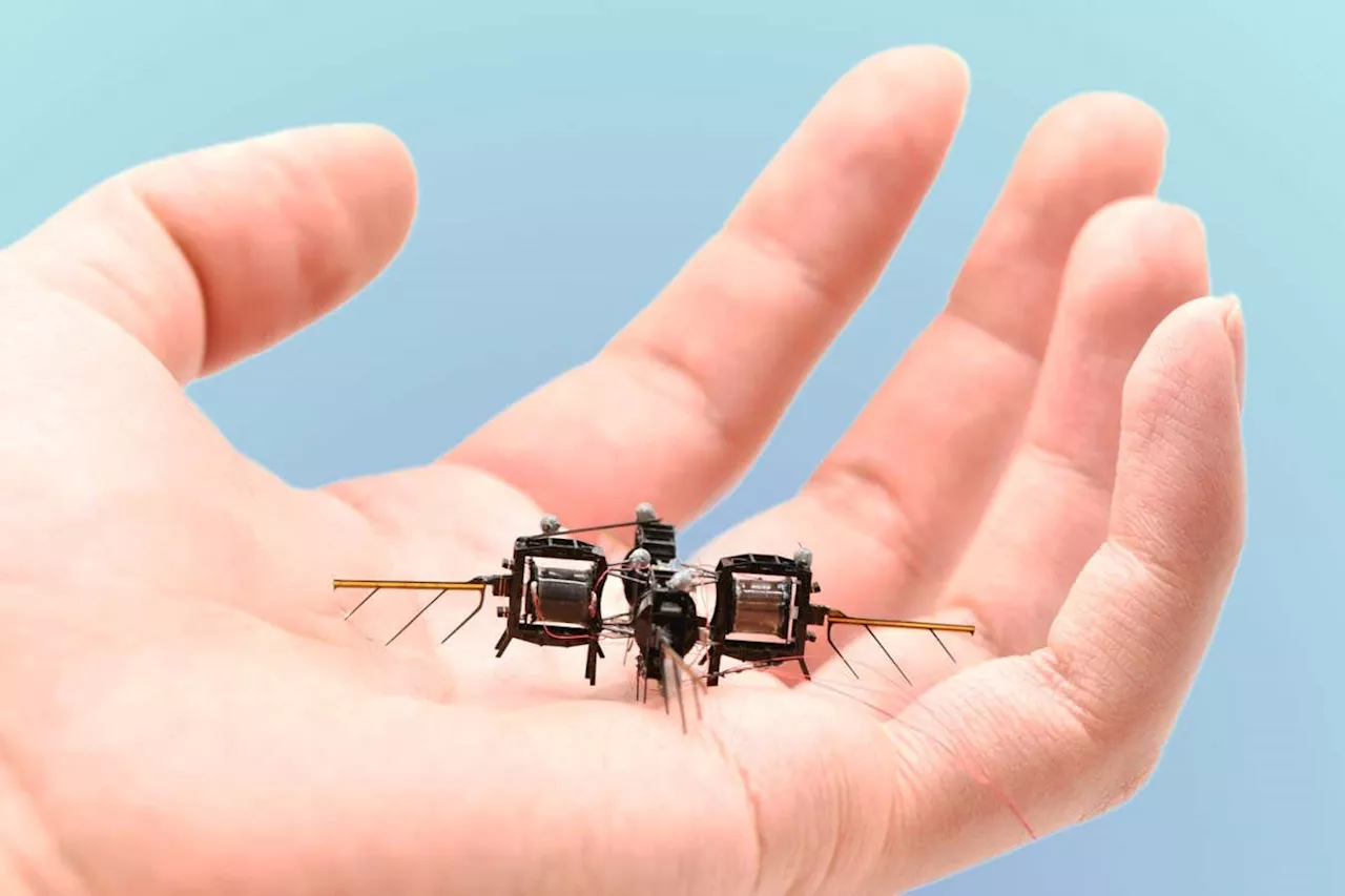 Raisin-Sized Robot Performs Acrobatics and Flies for 15 Minutes