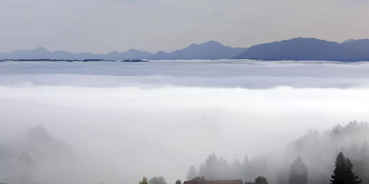 Sonne durch Nebel: Bayerns Wochenend-Wetter