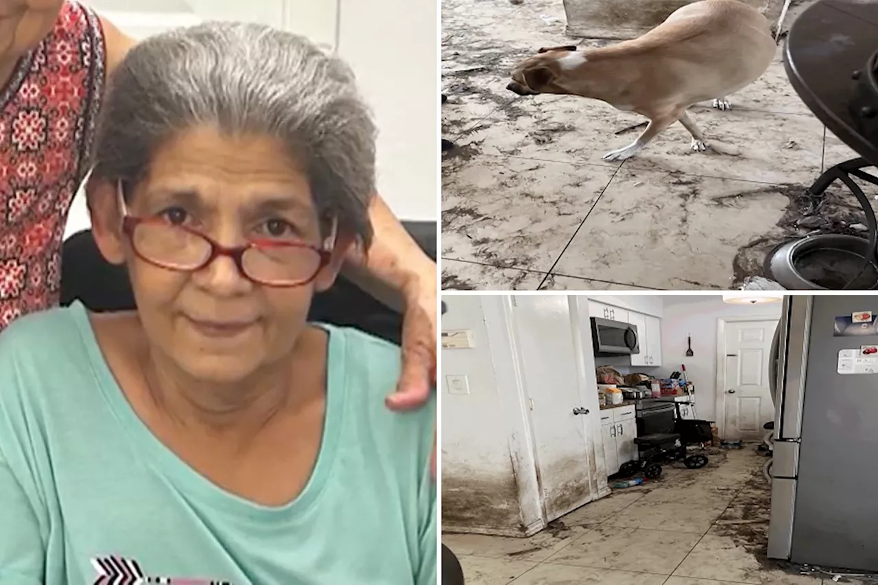 Florida Woman Found Dismembered in Backyard, Apparent Victim of Starving Dogs