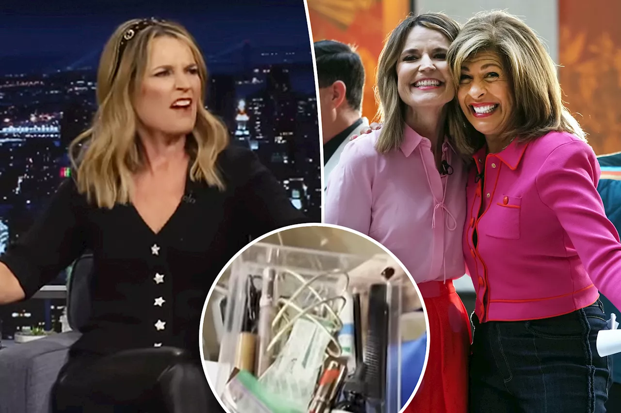 Savannah Guthrie Jokes About Hoda Kotb's 'Disgusting' Belongings Left on Today Show Set