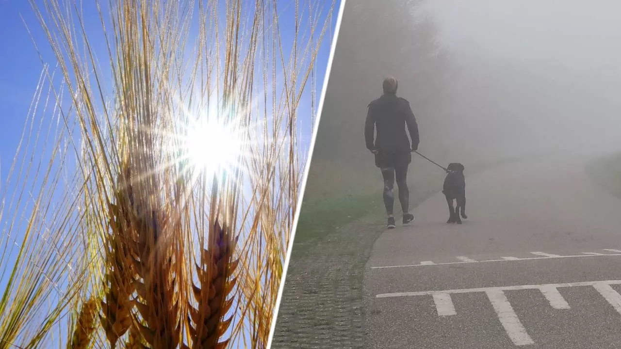 De zon gaat eindelijk weer schijnen, maar nu is het nog even grijs