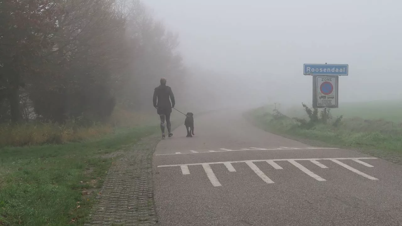 Oppassen als je de weg op gaat, code geel vanwege mist