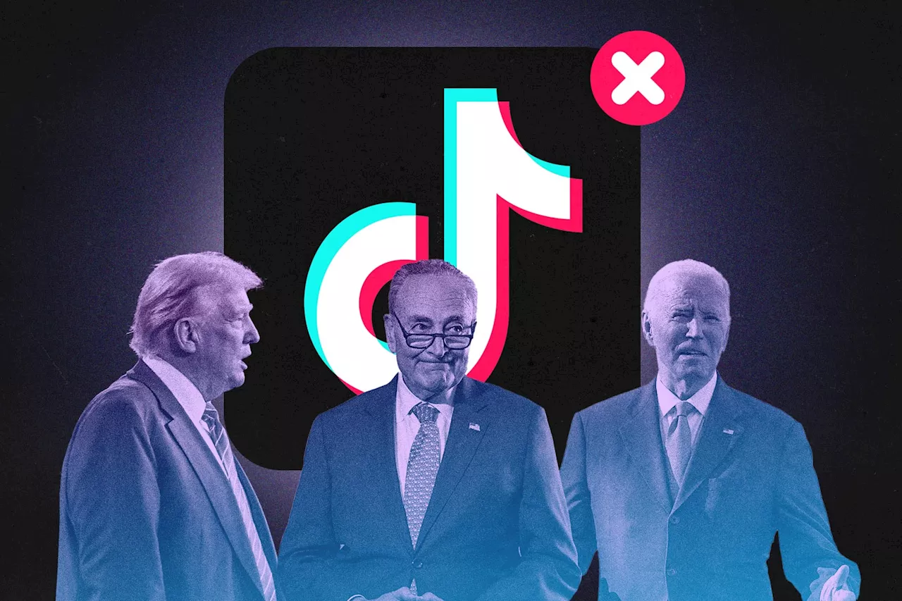 The TikTok Tug-of-War: From Political Panic to Presidential Pardon