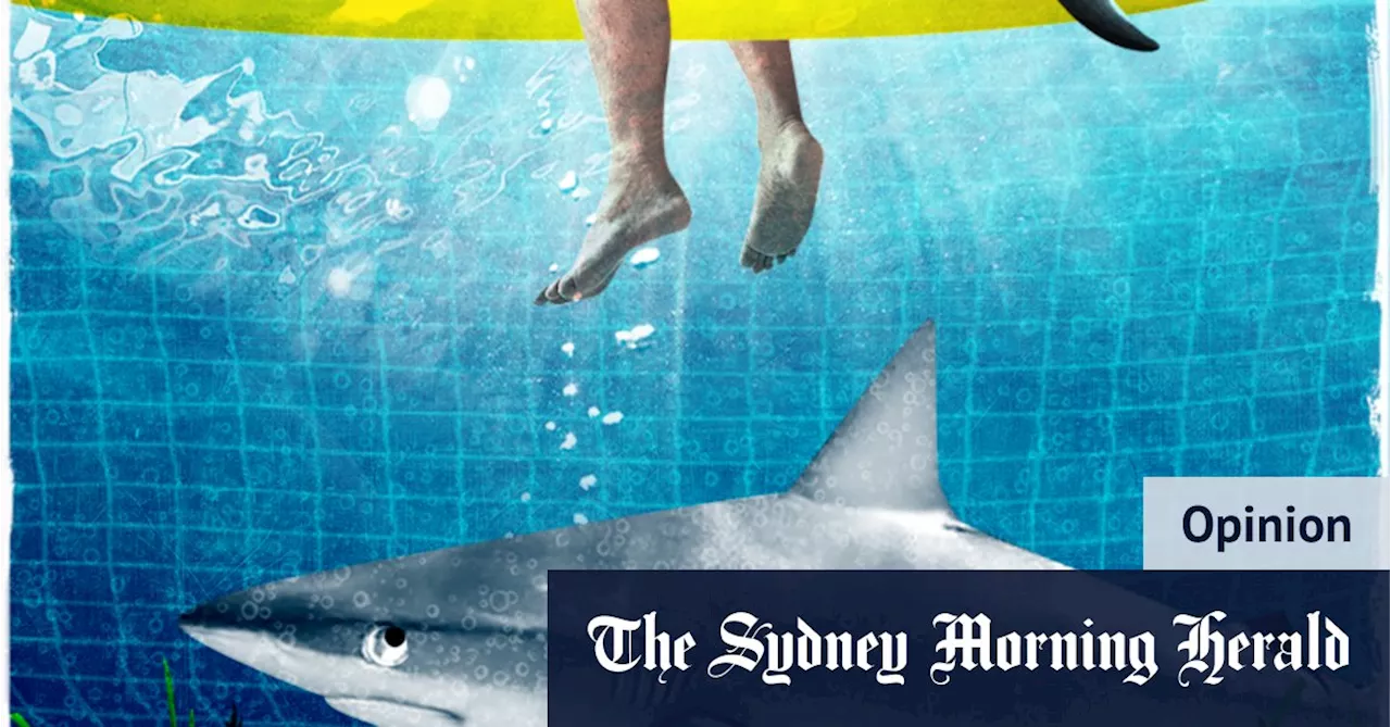 Shark Sightings, Safety Nets, and the Fear Factor: A Sydney Story