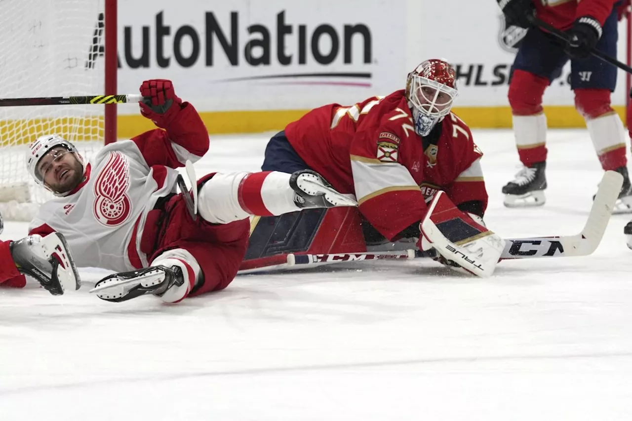 NHL Roundup: Red Wings Surge, Blue Jackets Win Streak Extends