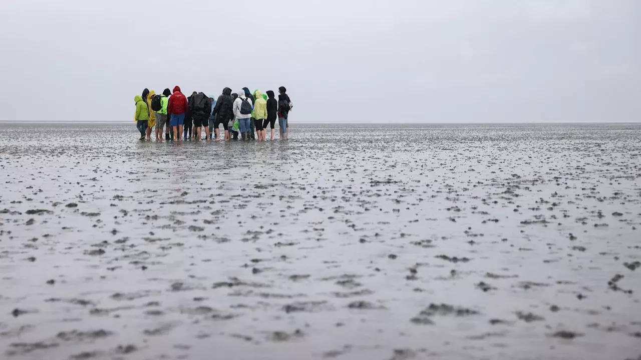 Nationalpark Wattenmeer feiert 40. Geburtstag mit über 40 Aktionen