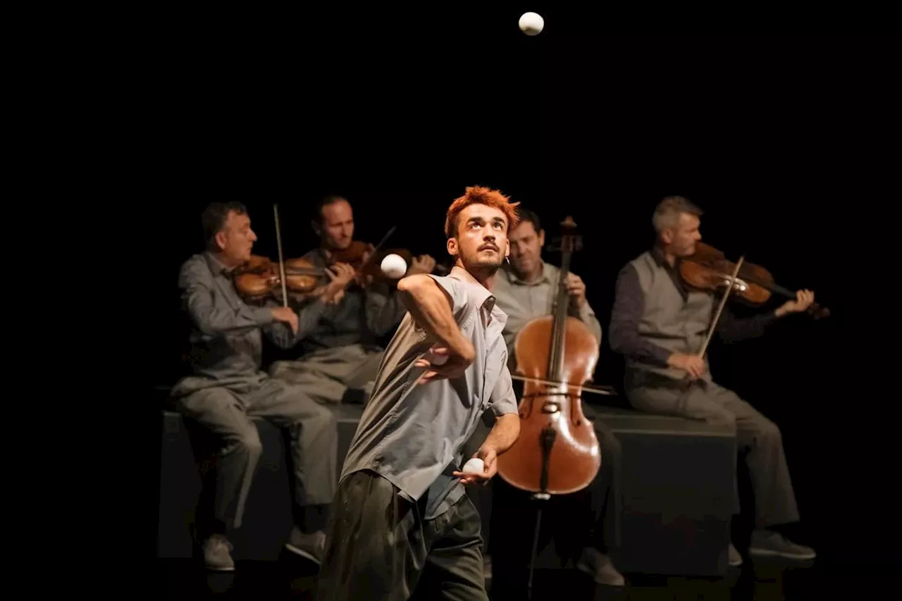 Angoulême : le Quatuor Debussy jongle avec la musique et les circassiens dans « Nos matins intérieurs »