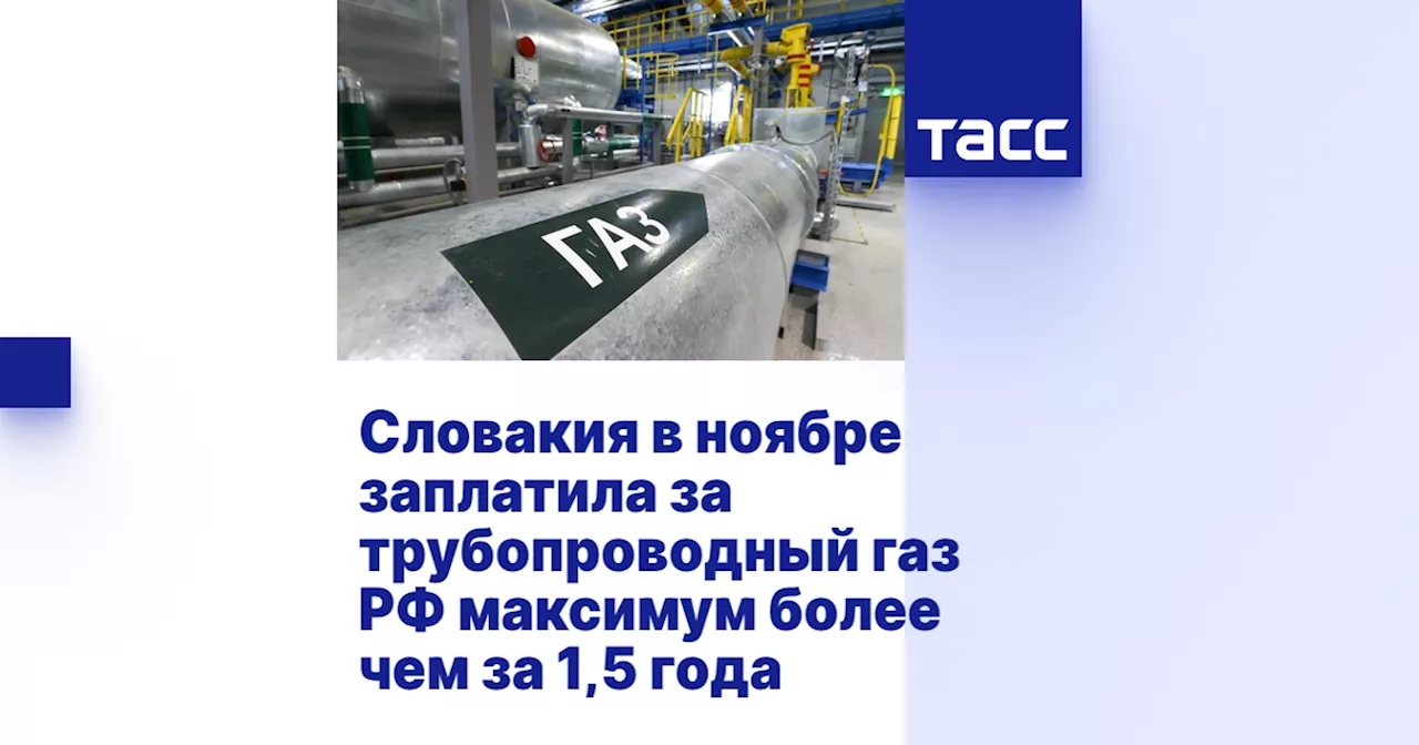 Словакия в ноябре заплатила за трубопроводный газ РФ максимум более чем за 1,5 года