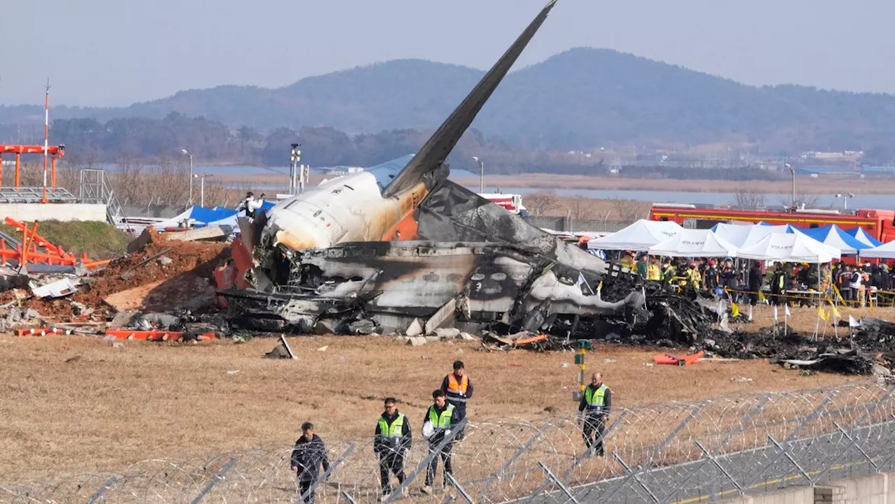 Fant fuglefjær i begge motorene etter flyulykken i Sør-Korea