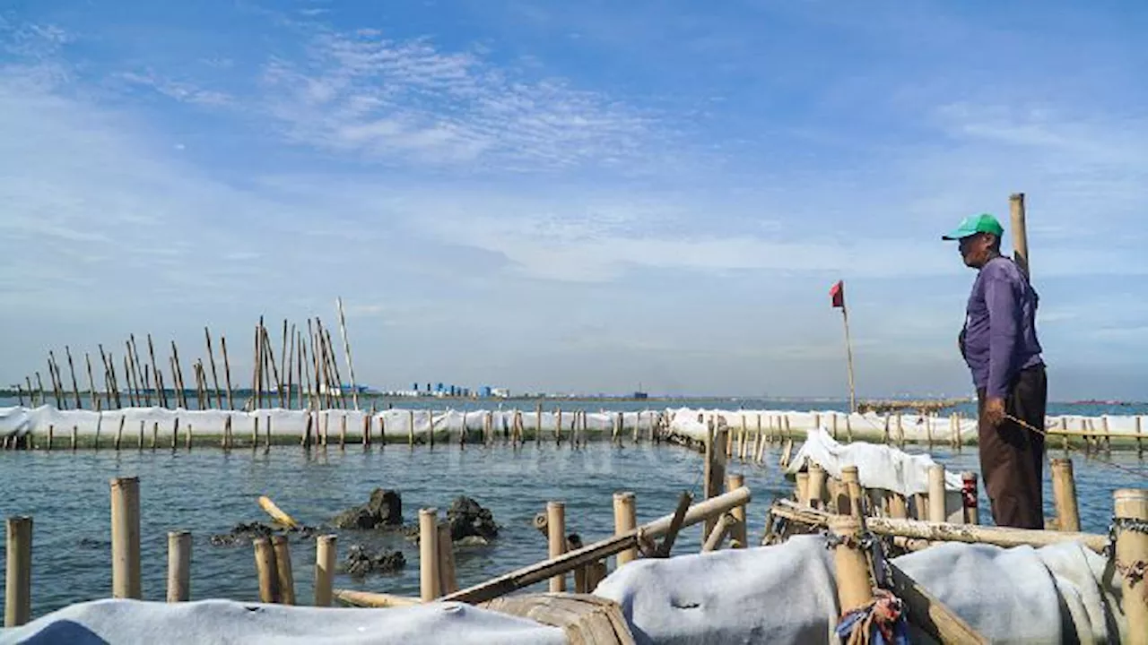 Pagar Laut Bekasi Bukan Bagian dari Giant Sea Wall