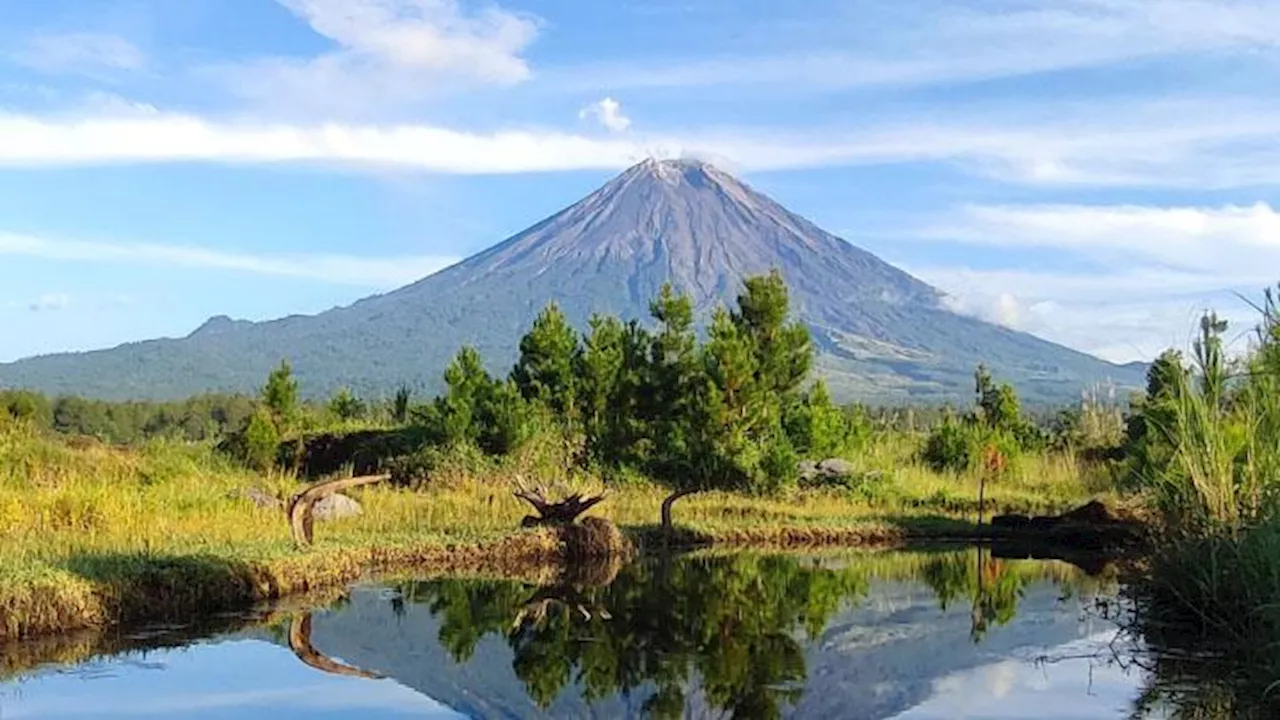 Penutupan Jalur Pendakian Gunung Semeru Diperpanjang hingga 8 Februari 2025