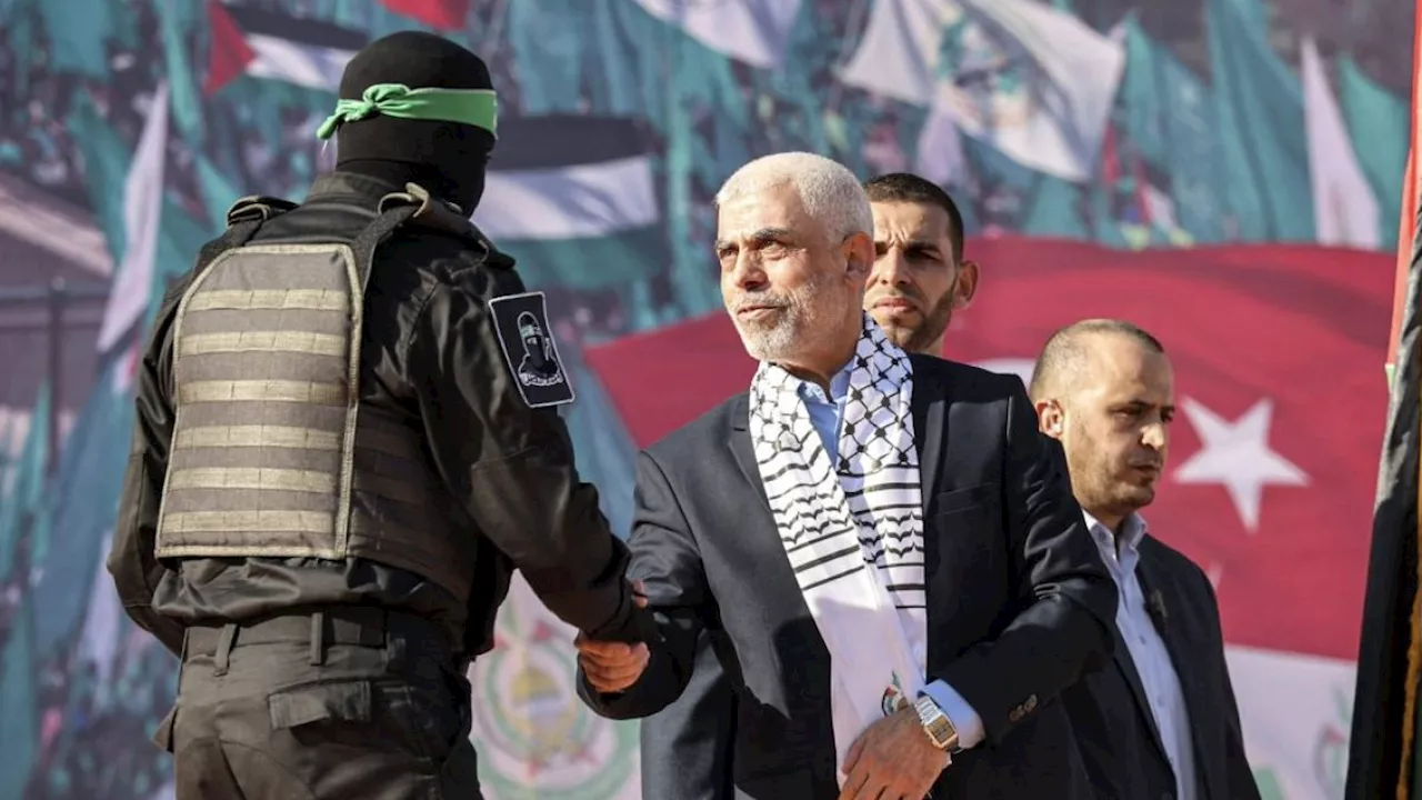 Hamas Survives and Rebuilds Despite Israeli Offensive