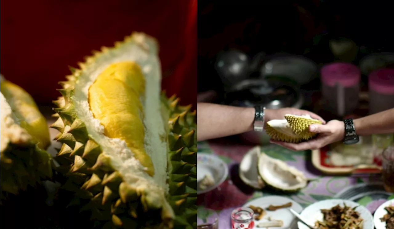 Durian Seller Refuses 20% Commission to Tour Guide, Sparks Debate