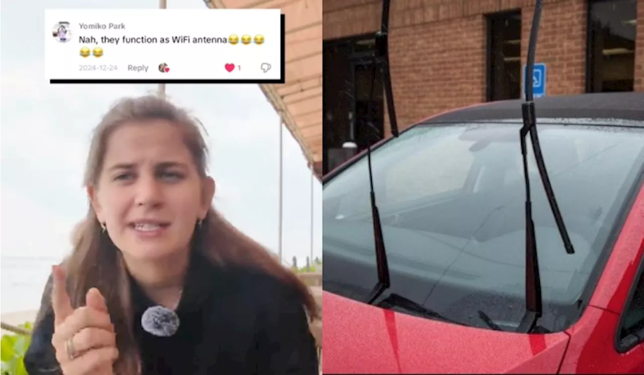 Polish Woman Gets Hilarious Reasons To Why Malaysians Leave Their Car Wipers Up