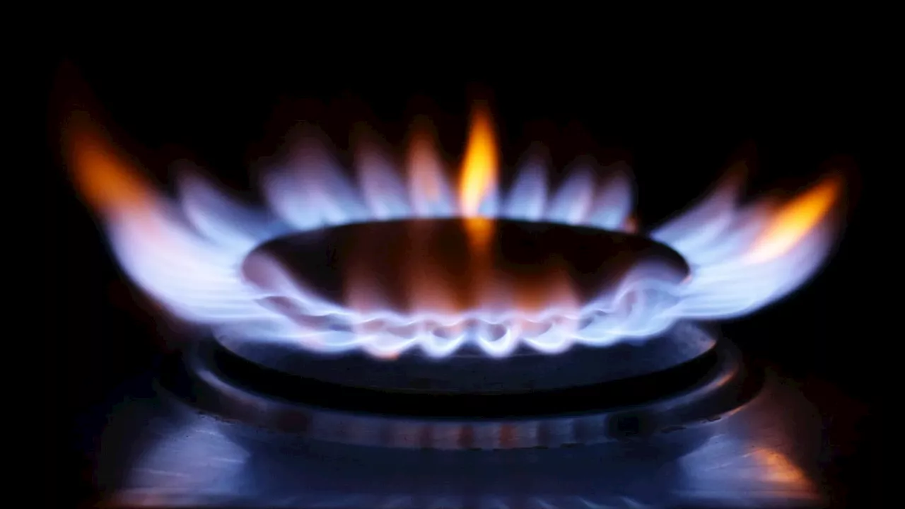 Major energy suppliers ranked best to worst as firms urged to ‘up their game’...