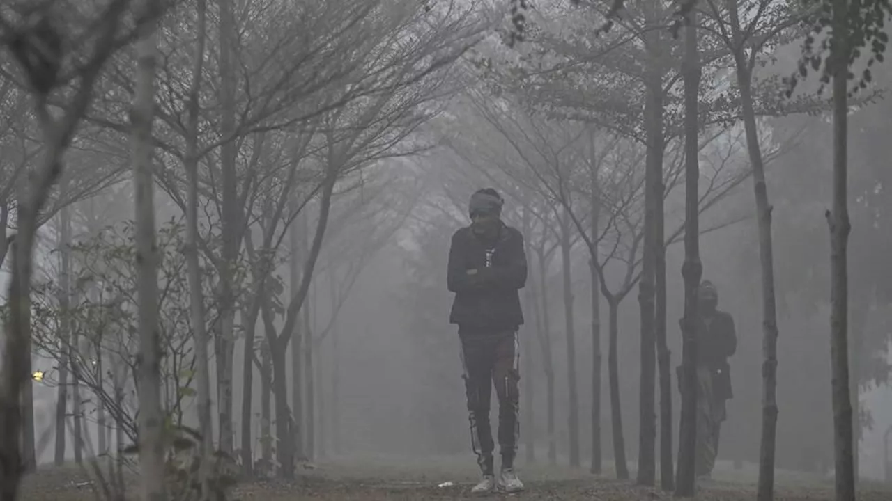 Dense Fog Disrupts Travel and Life in India and Pakistan