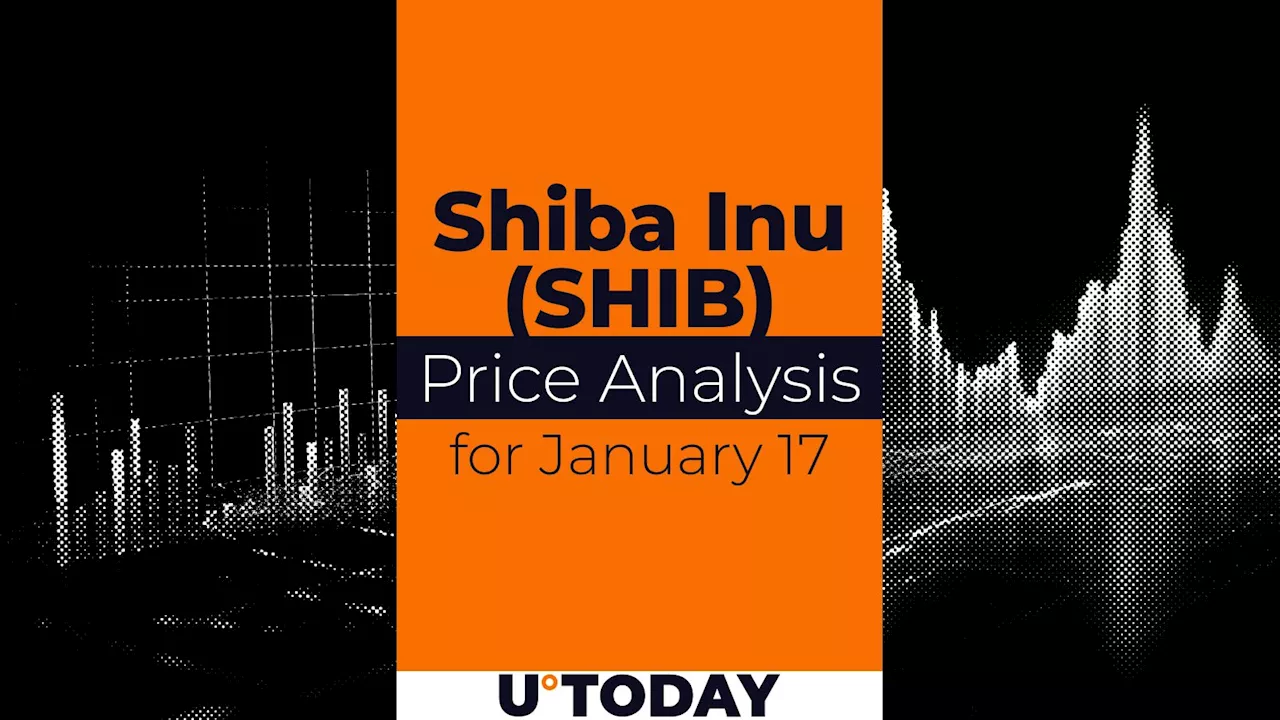 SHIB Price Prediction for January 17