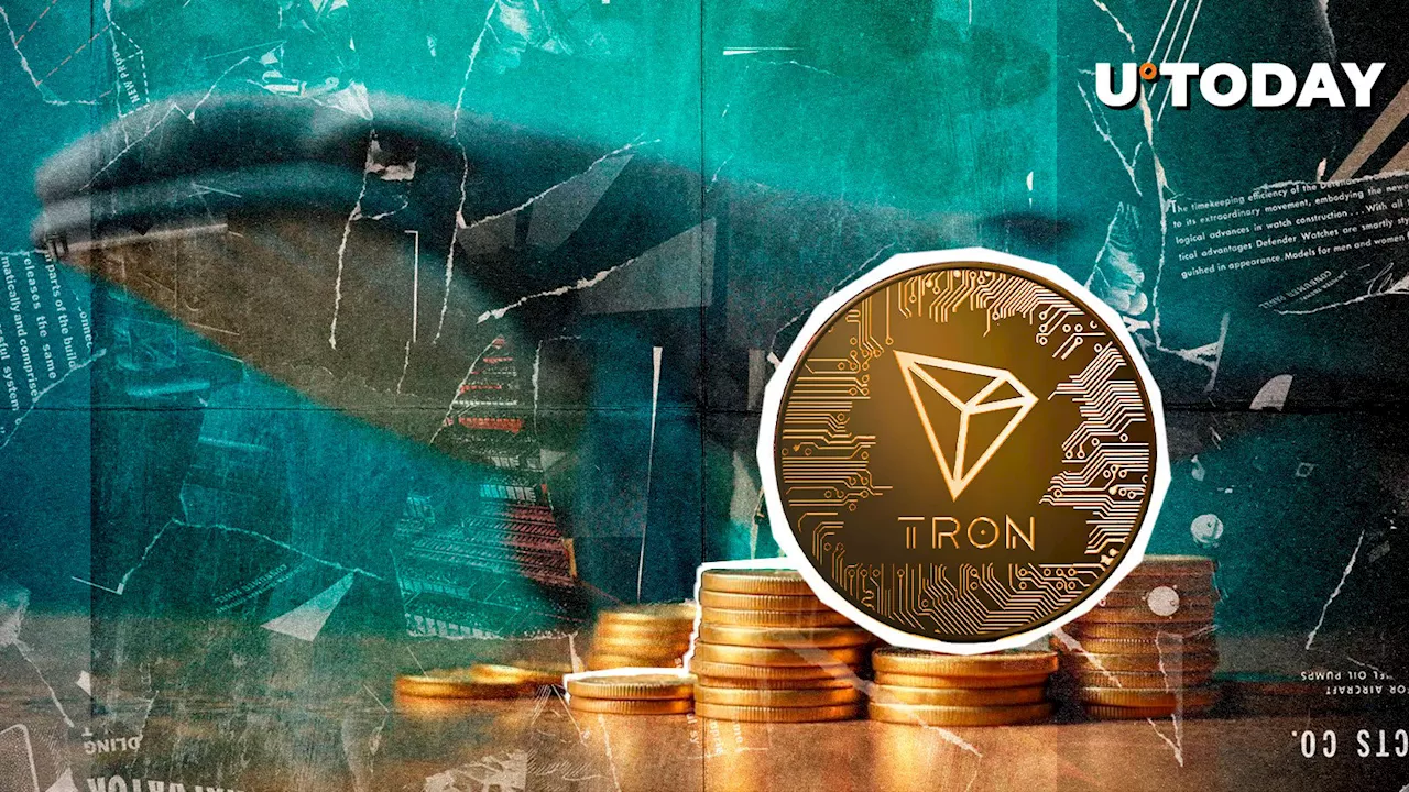 Tron (TRX) Sees Massive Surge in Whale Activity Amid Crypto Market Recovery