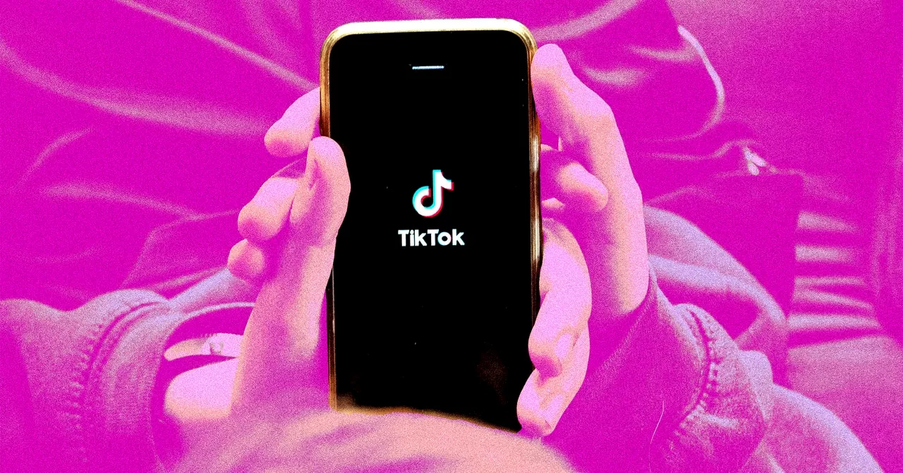 Download TikTok Videos to Your Phone or Computer