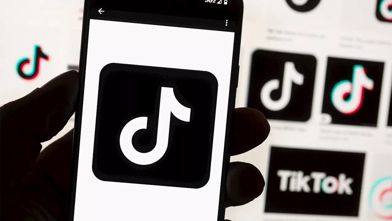 TikTok Faces Potential Shutdown in US Unless Biden Administration Provides Clarity