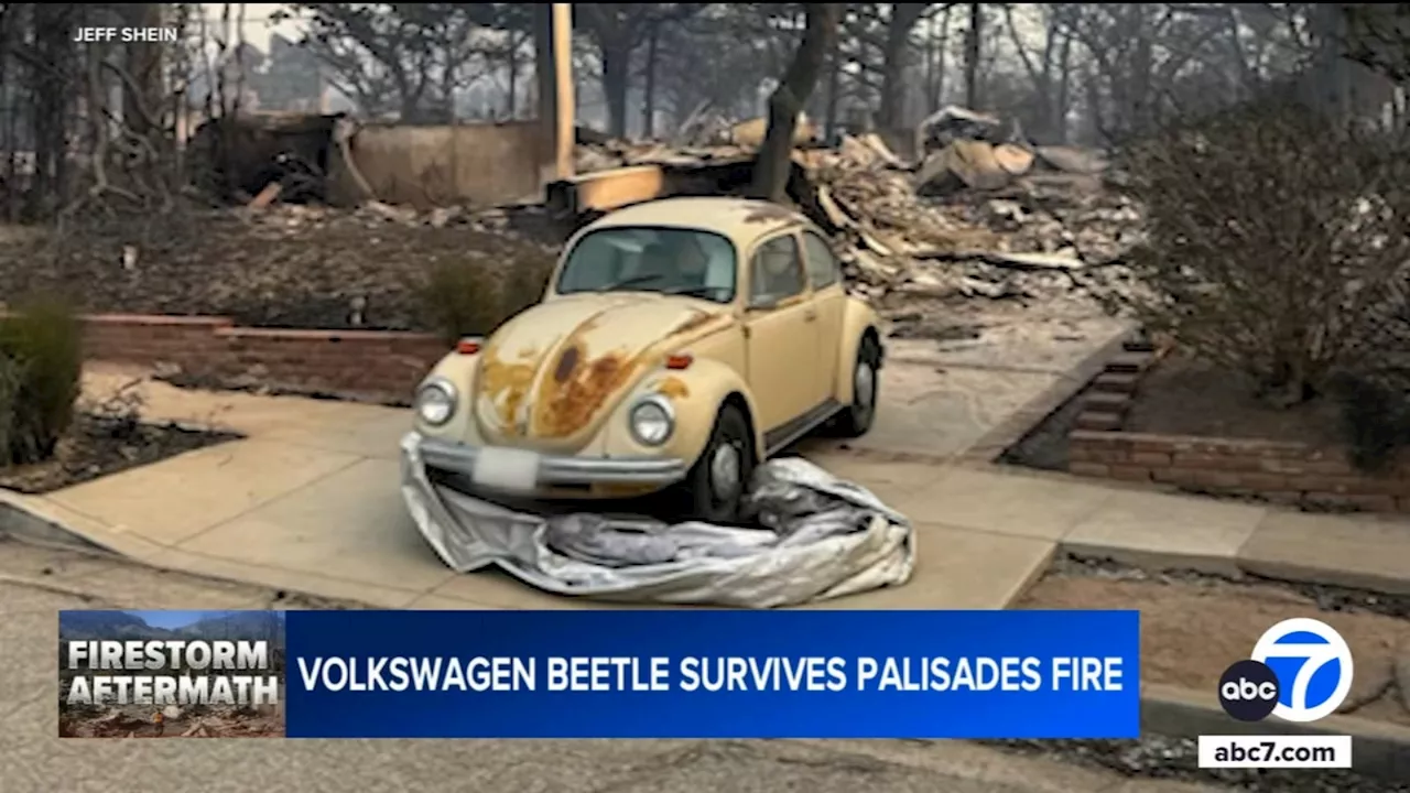 Classic Volkswagen Beetle survives Palisades Fire amidst destroyed homes