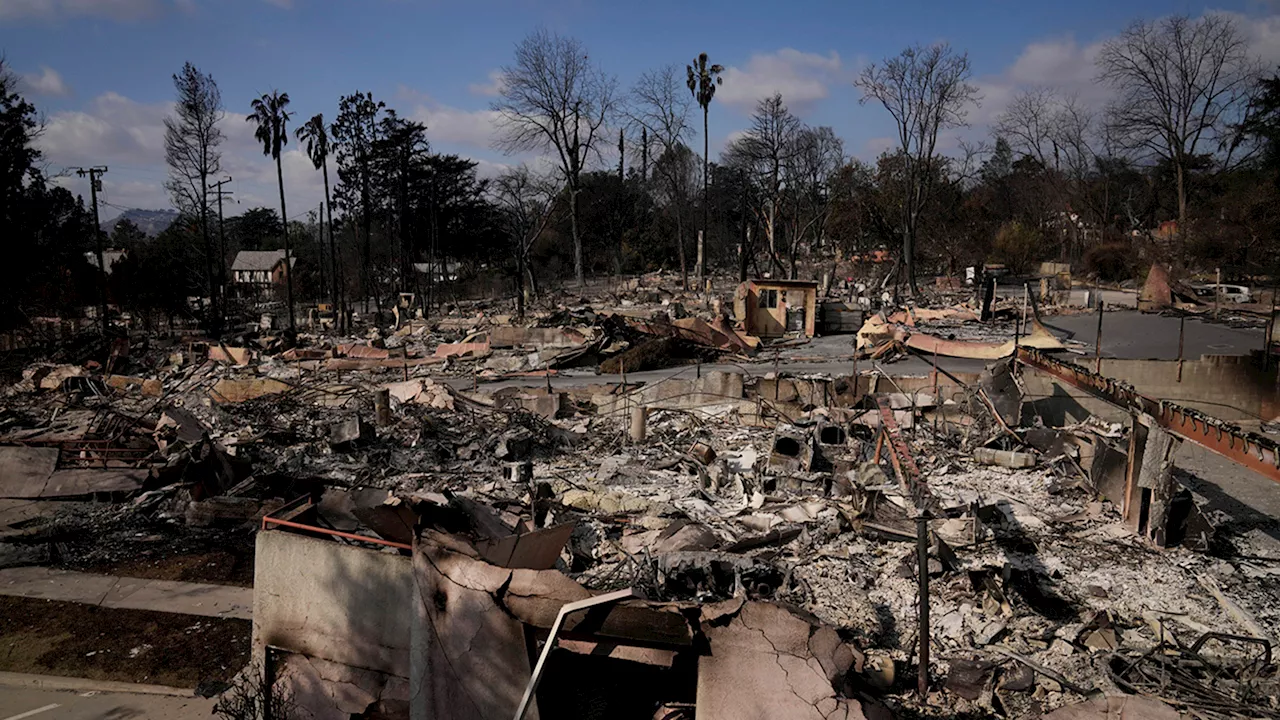 Octavia Butler's 'Parable of the Sower' Foreshadows Devastating LA Fires