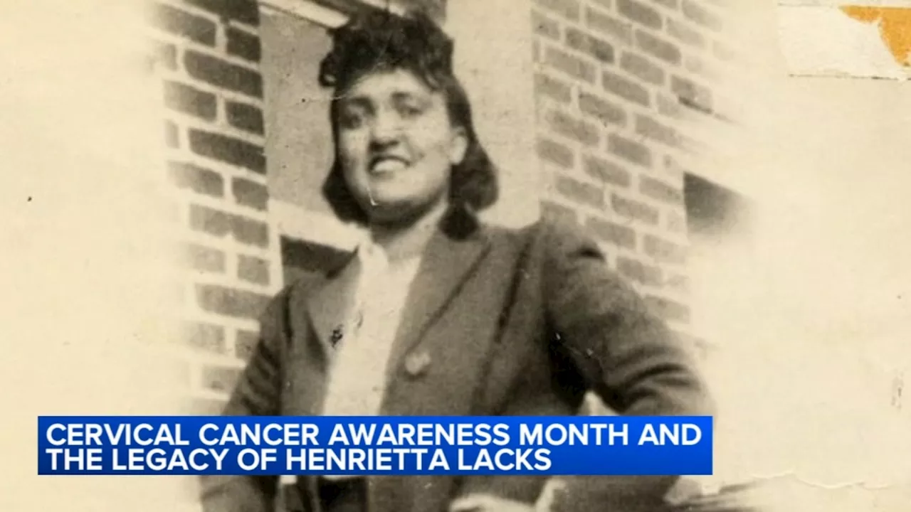 Cervical Cancer Awareness Month: How Henrietta Lacks' cells changed the medical world