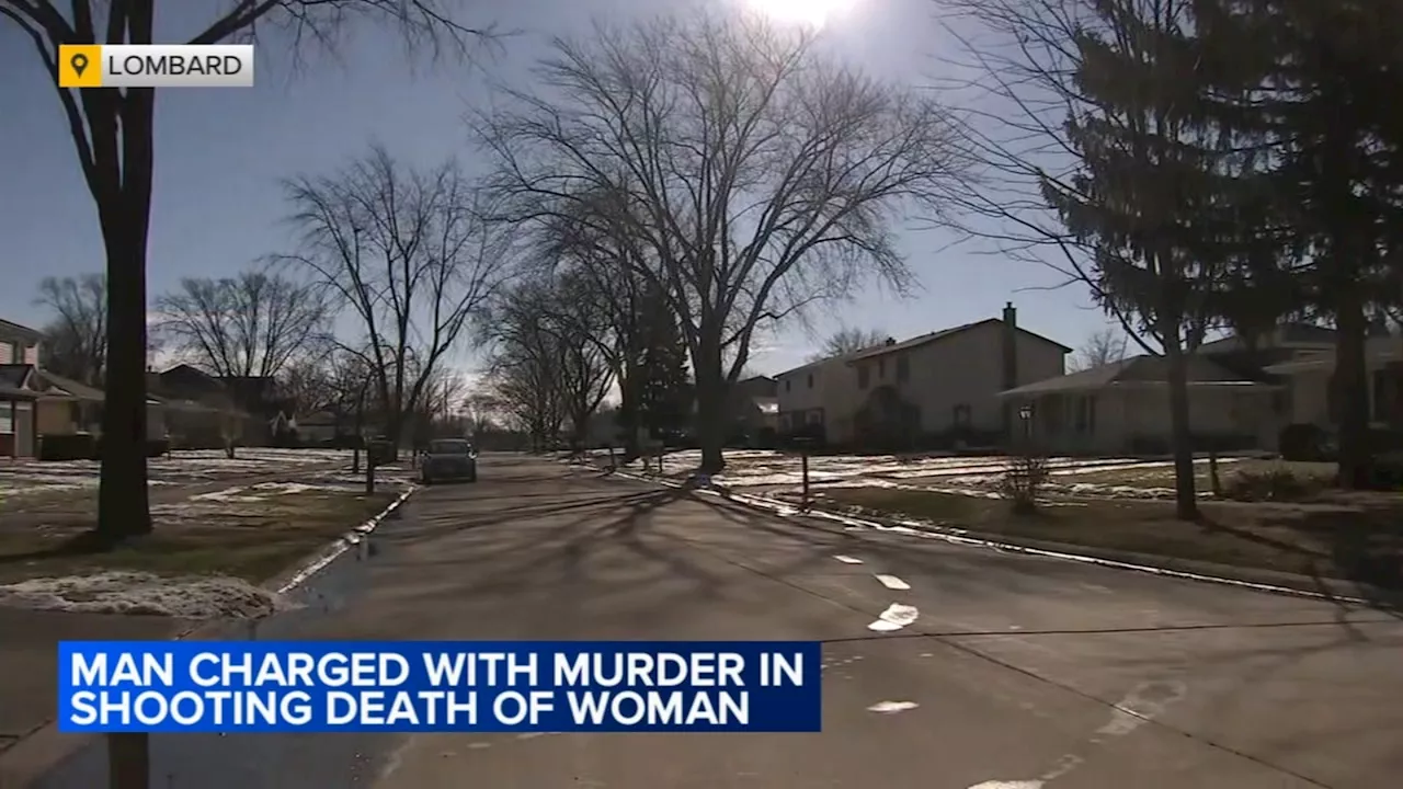 Illinois Man Charged With Shooting Wife to Death in Their Bed