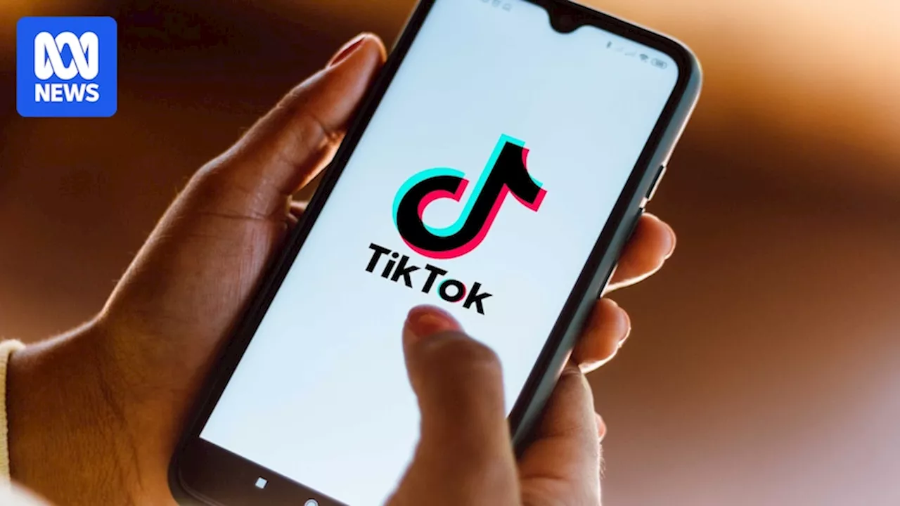 Donald Trump says he will 'most likely' give TikTok a 90-day reprieve