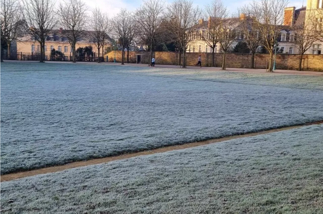 Des flocons de neige observés en Seine-Maritime : on vous explique de quoi il s'agit
