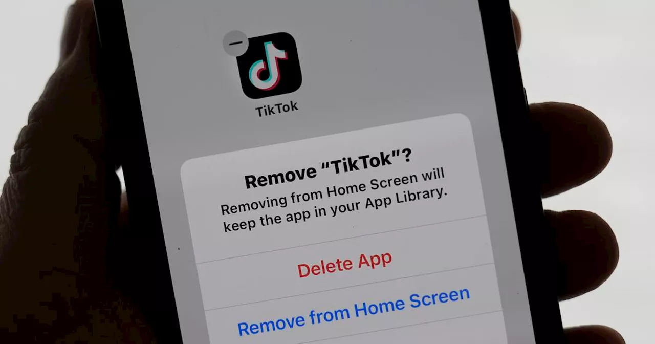 Trump says he ‘most likely’ will give TikTok a 90-day extension to avoid US ban