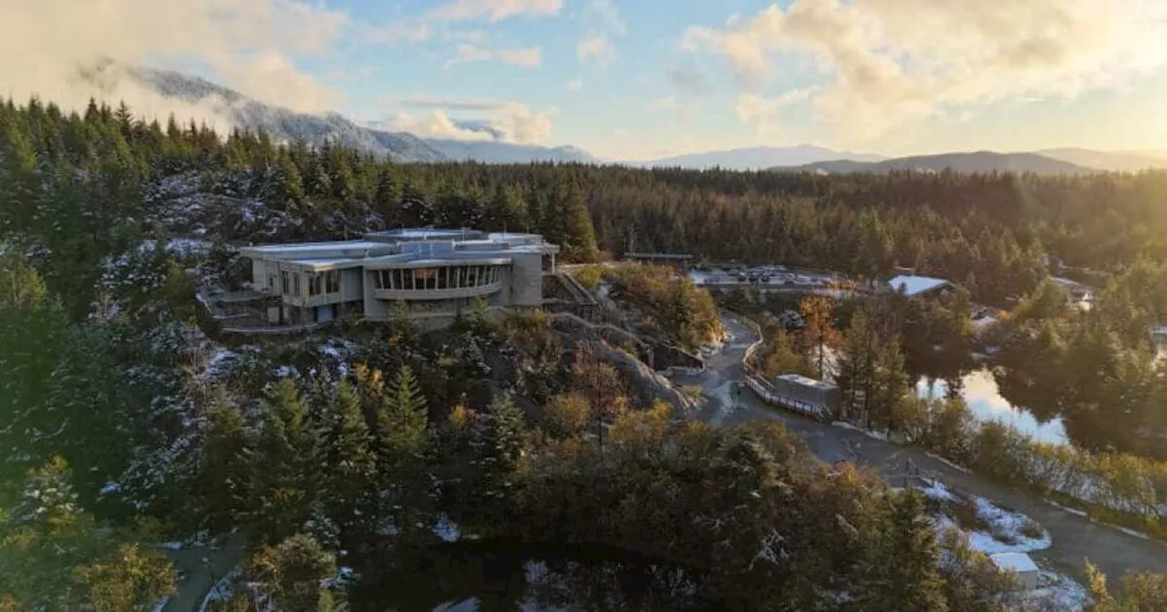 Indigenous people raise questions over planned totem poles at Juneau glacier