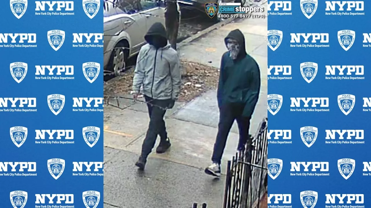 Brooklyn Police Seek Two Suspects in Shooting Near Apartment Building