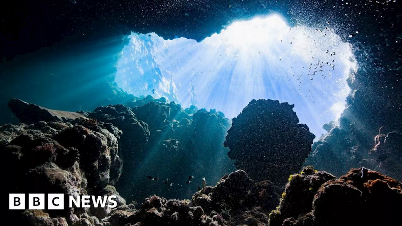 Deep Sea Oxygen Mystery: Could Metal Lumps Hold Key to Life on Other Planets?