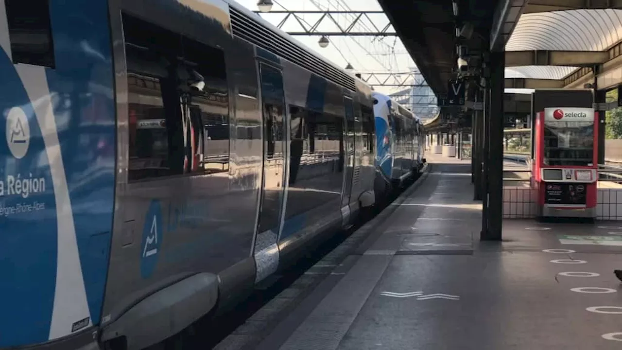 'Ça a été rapide': une passagère accouche dans un train entre Grenoble et Valence