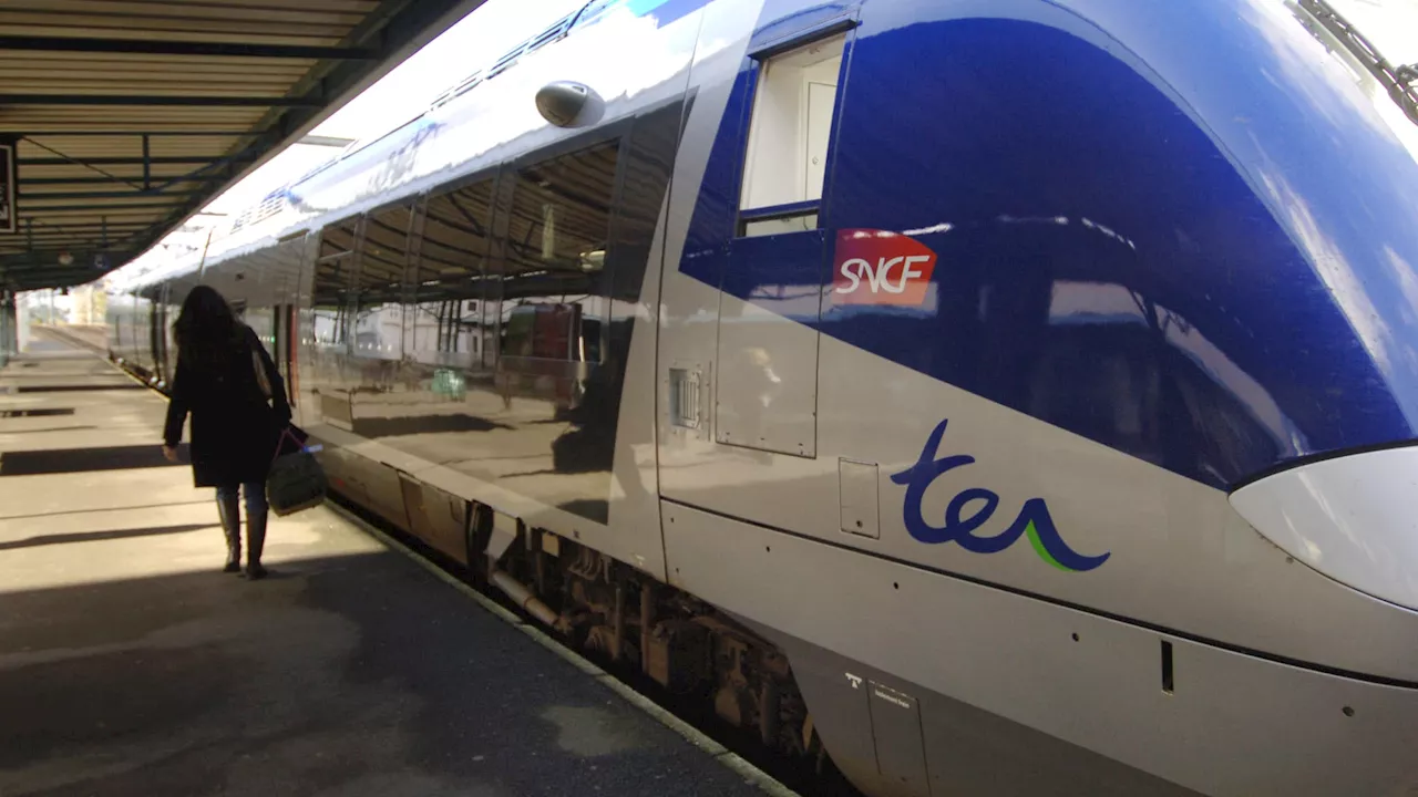 Victoire pour Couville : SNCF Réseau déboutée sur les travaux d'entretien d'une buse