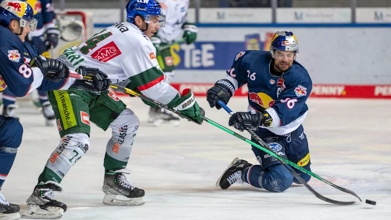 Eishockey: DEL-Aufstiegsfavorit will Skandal-Star