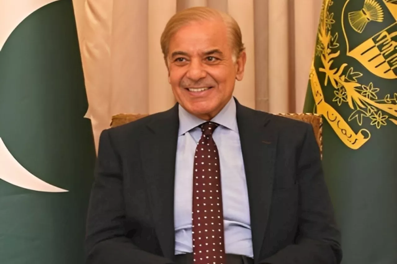 Prime Minister Shehbaz Sharif welcomes digital FDI initiative