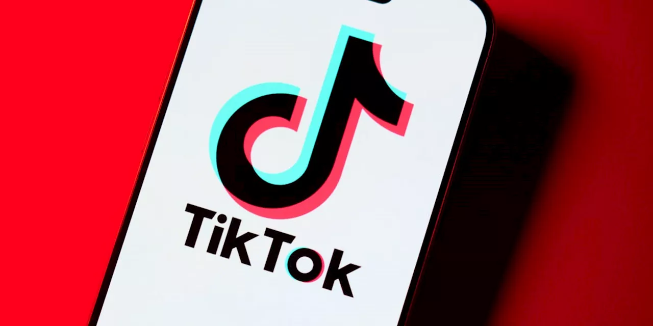 TikTok Faces Impending Shutdown Unless Biden Administration Takes Action