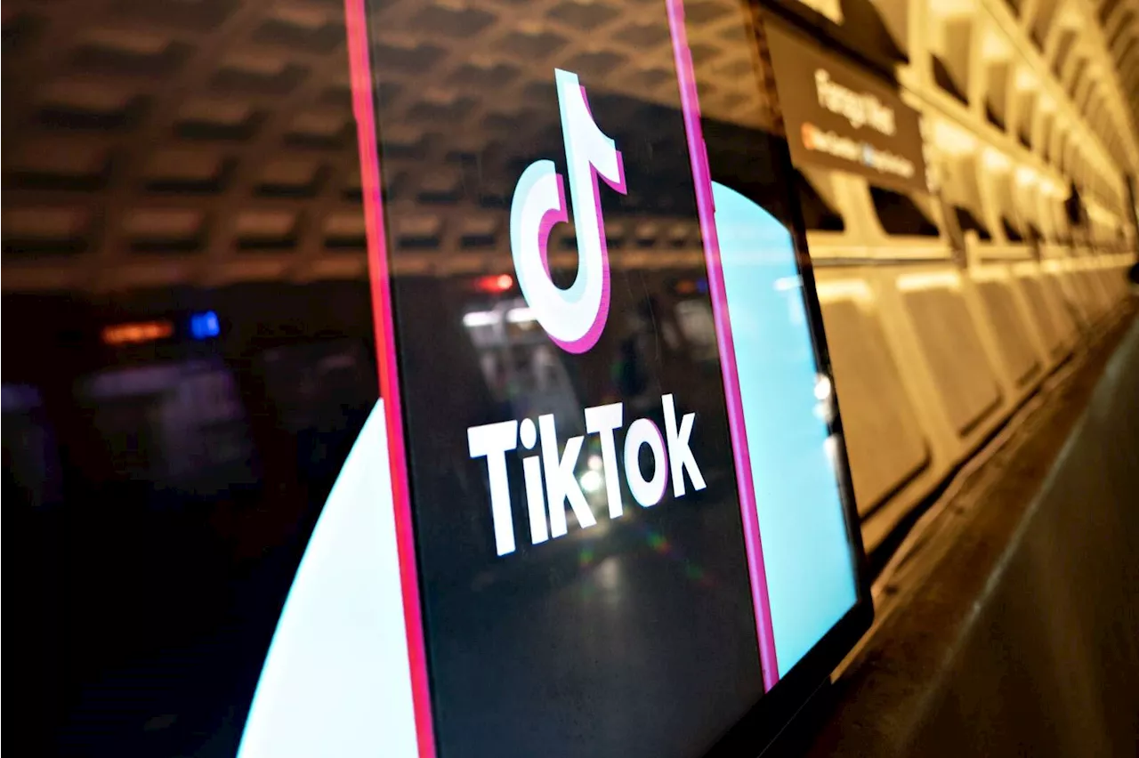 News What the papers say: TikTok to ‘go dark’ on Sunday in US; ECB warning on mortgages; IDA’s far-right briefs; Pepper in court