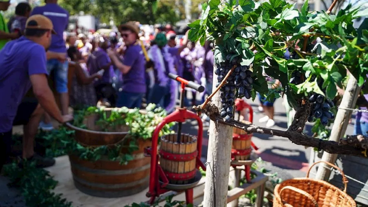 Stellenbosch Harvest Parade returns with colour and festivity this year