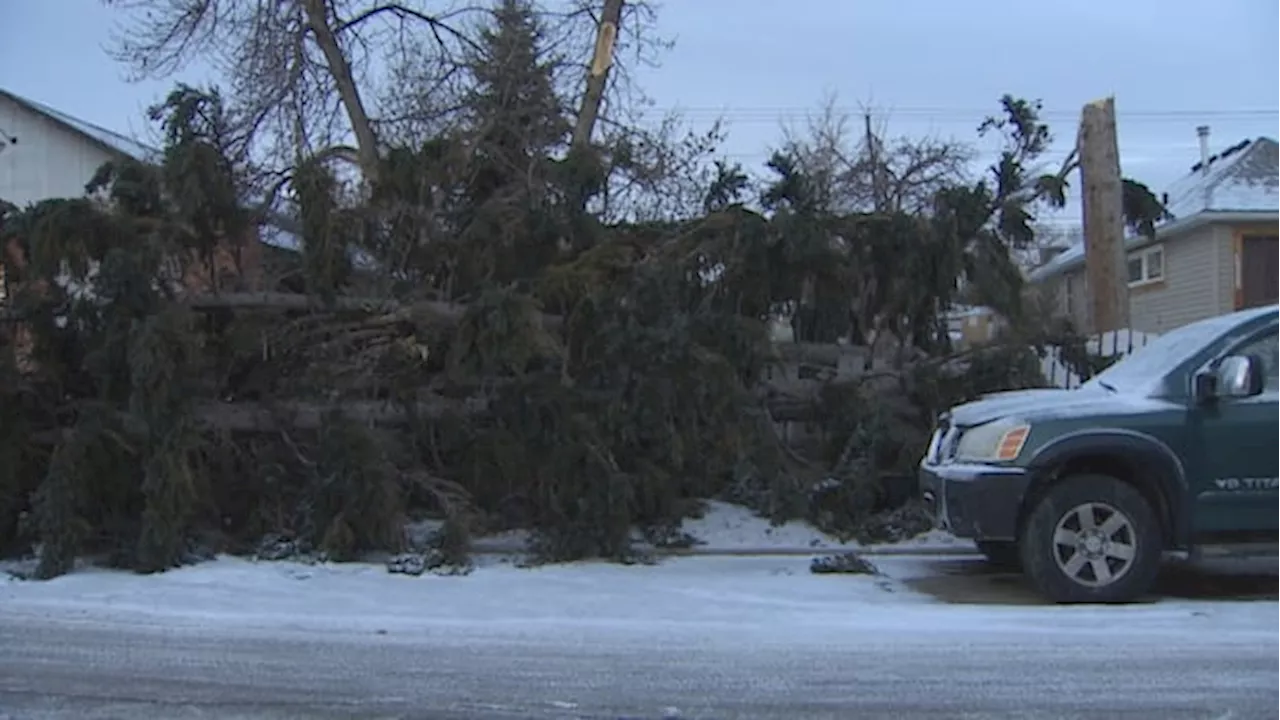 High Winds Cause Damage and Power Outages in Calgary