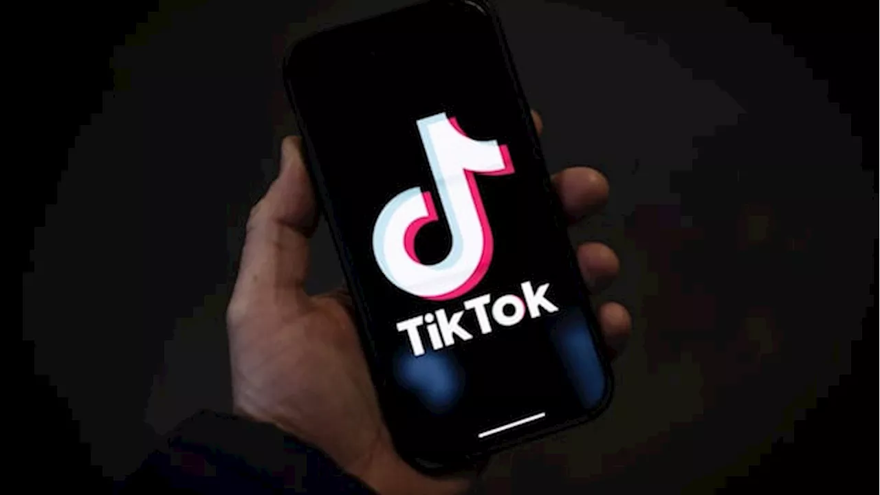 Trump will 'most likely' give TikTok a 90-day reprieve from ban scheduled Sunday