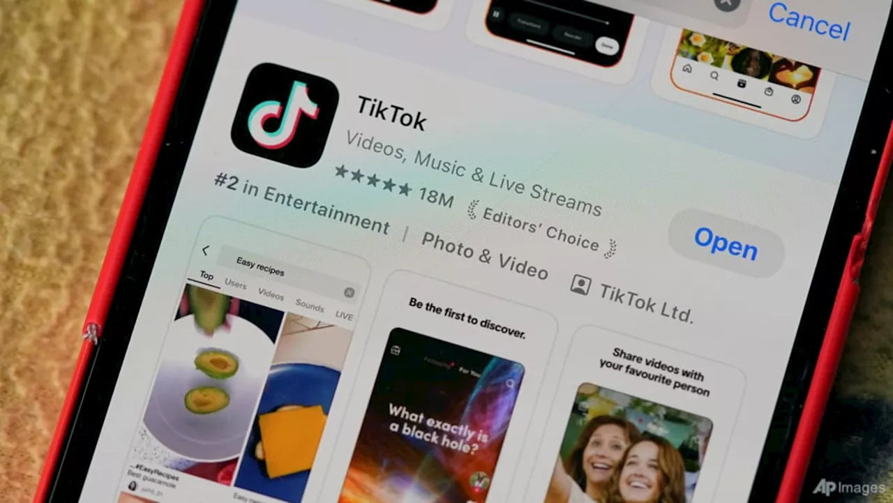 TikTok could 'go dark' in US Sunday after Supreme Court ruling